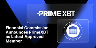 Discover the Power of Trading with App PrimeXBT Brazil
